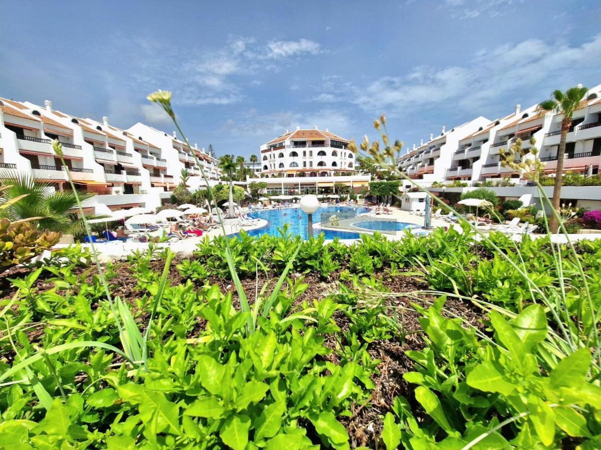 Parque Santiago 1 F-348 By Tenerife Dream Properties Playa de las Americas  Zewnętrze zdjęcie